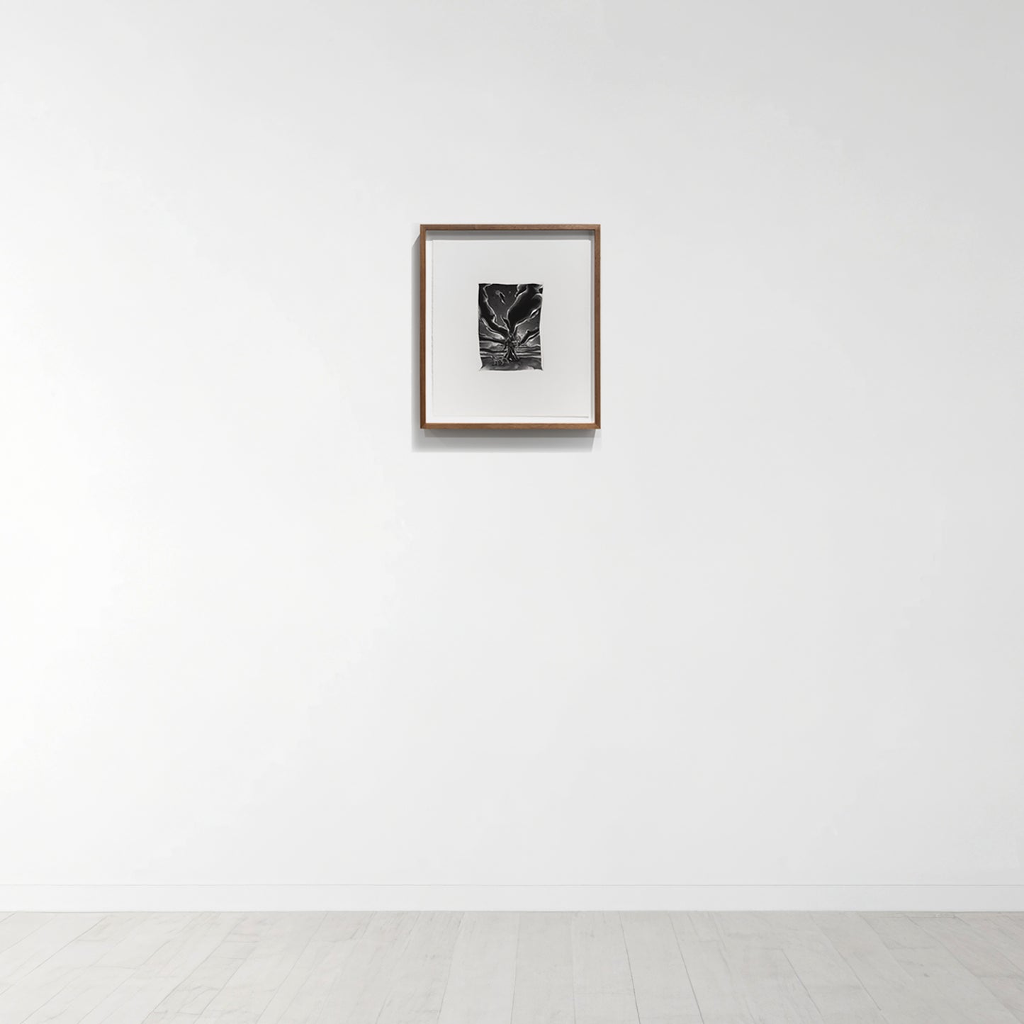 Morning Hangs A Signal